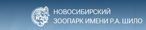 ‼️Новосибирский зоопарк🦒 дарит вам и вашим близким возможность бесплатно посетить наш уникальный уголок природы!