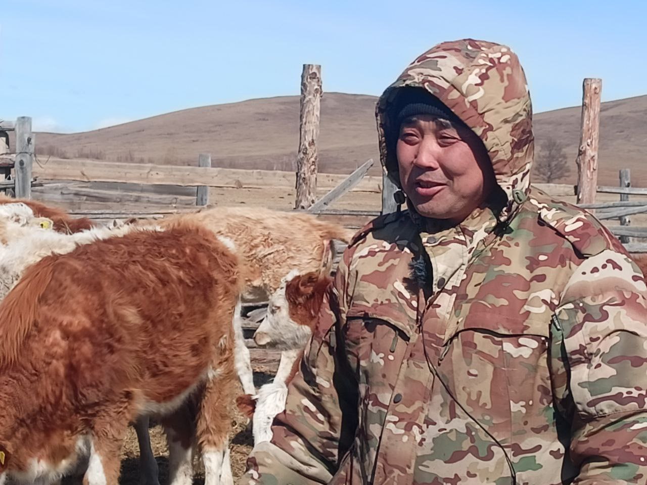 🐄 "Жизнь только начинается": Как ветеран СВО из Бурятии строит ферму, семью и будущее России
