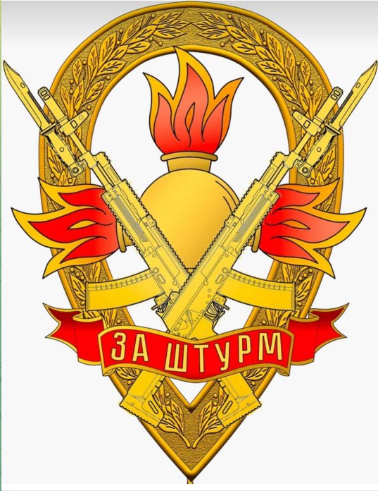⭐️ Российским военнослужащим впервые вручили квалификационные знаки "За штурм"