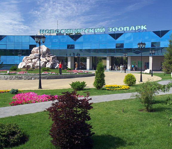 🦁 Бесплатный вход в Новосибирский зоопарк для участников СВО и их семей!