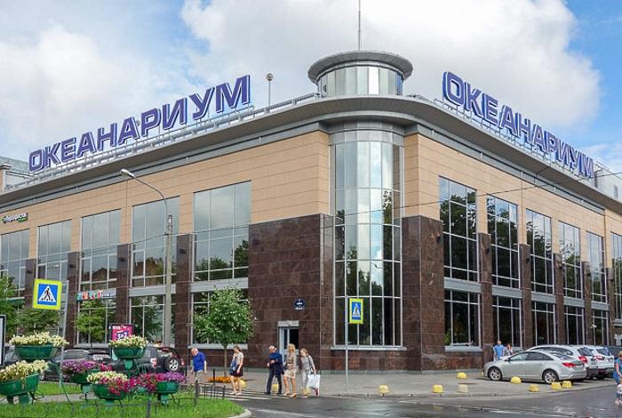 Бесплатный вход в Океанариум СПб для детей участников СВО!