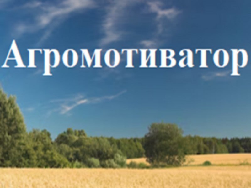 🟢Программа «Агромотиватор» в 2025 году — это расширенная государственная поддержка ветеранов и участников специальной военной операции (СВО), уволенных в запас, которые хотят начать или развить собств